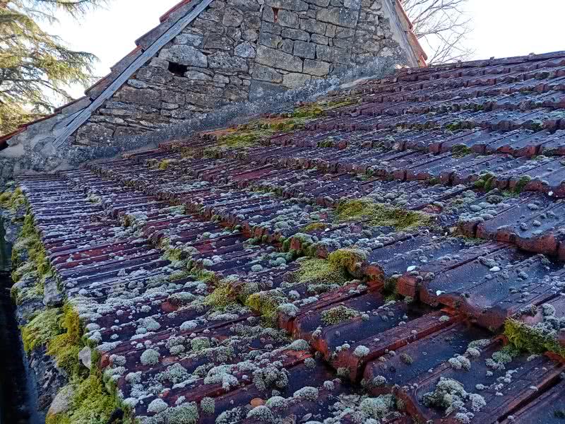 démoussage toiture denis artisan