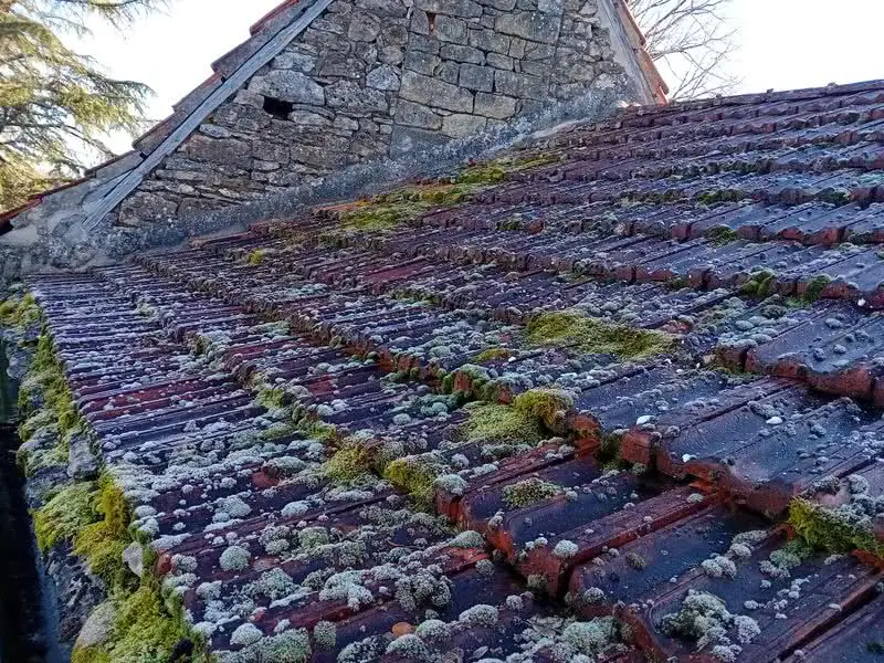 démoussage toiture denis artisan