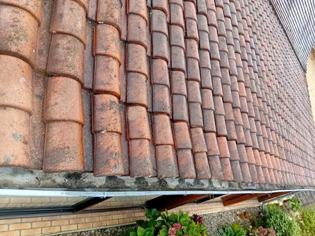 denis artisan nettoyage gouttière