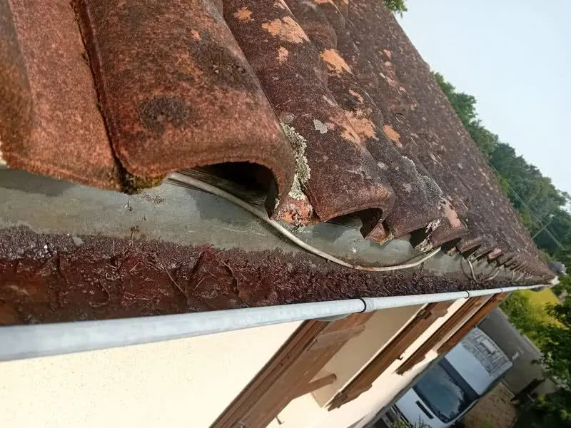 nettoyage de goutière