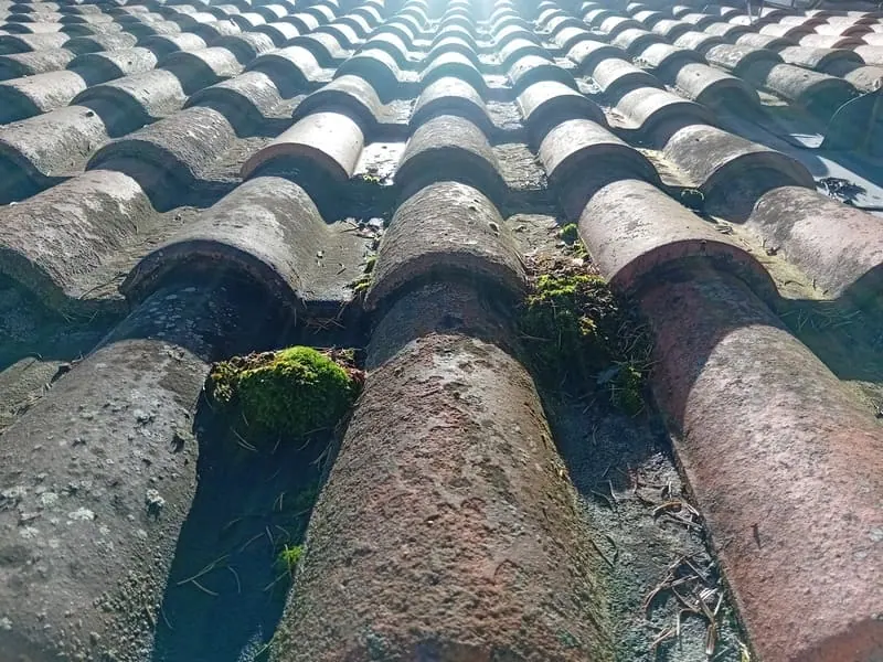 démoussage toiture sarlat la canedas denis artisan