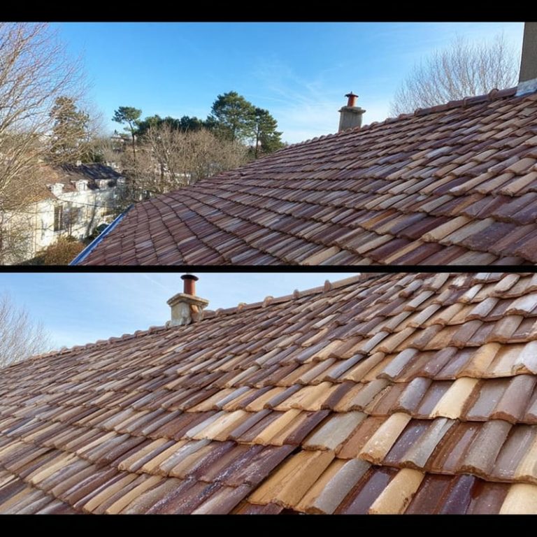 démoussage de toiture à carsac aillac denis artisan