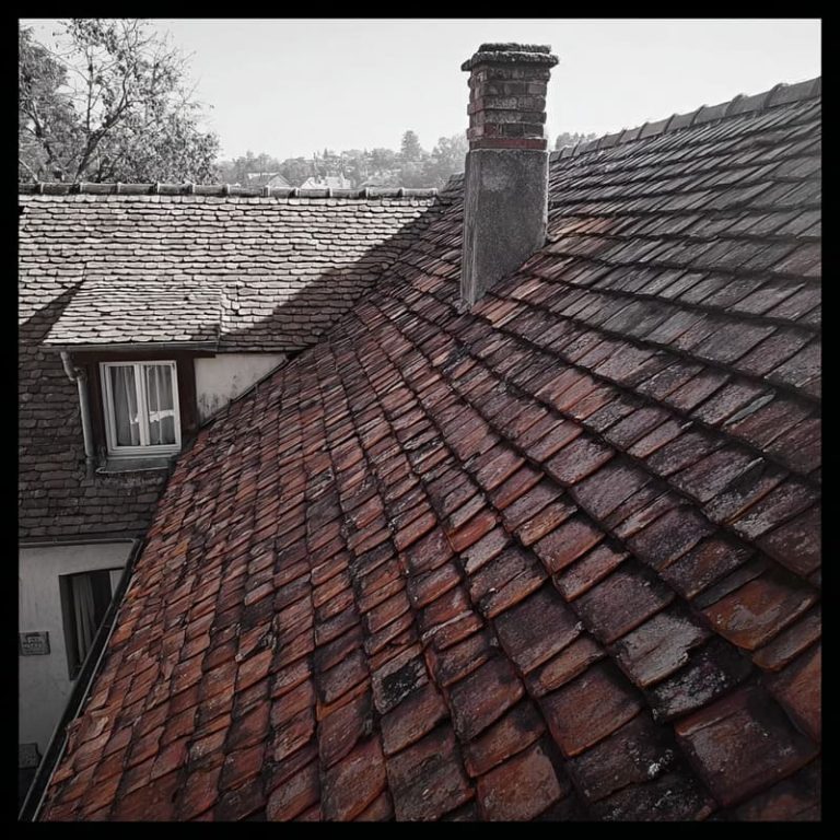 démoussage de toiture à proissans denis artisan