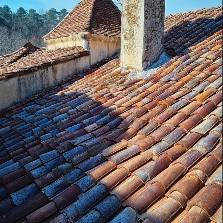 démoussage de toiture à sainte nathalène denis artisan