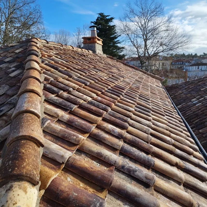 démoussage toiture sarlat 24200 denis artisan