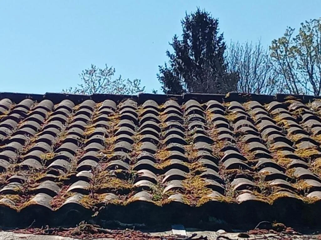 démoussage toiture avant Les Eyzies