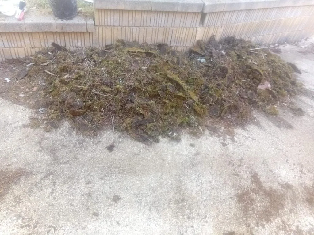 mousse toiture Les Eyzies denis artisan